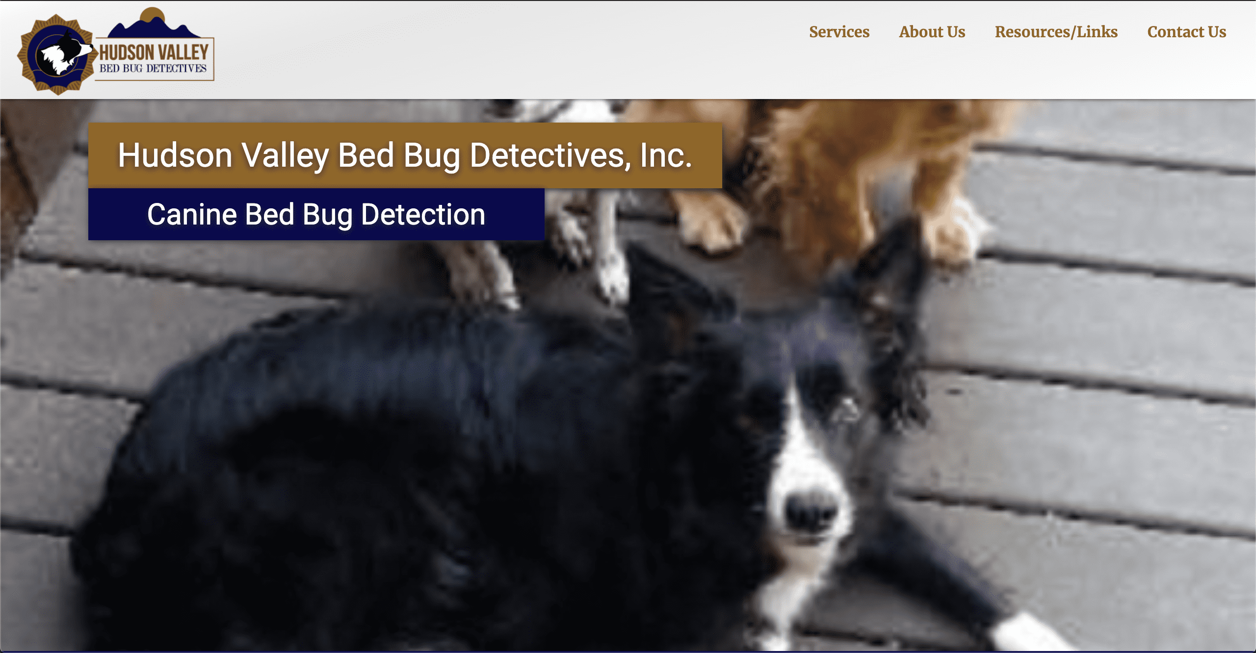 Hudson Valley Bed Bugs Detectives Website